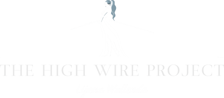The High Wire Project